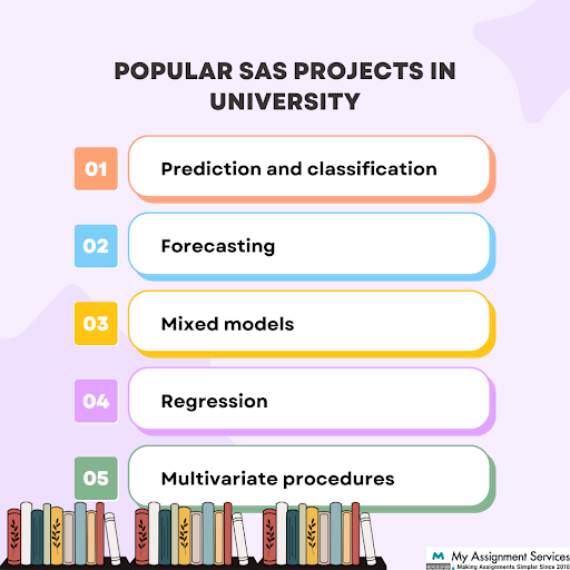 Popular SAS projects in university