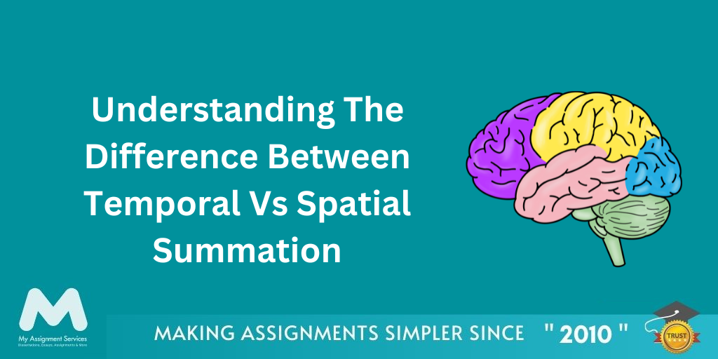 temporal vs spatial summation